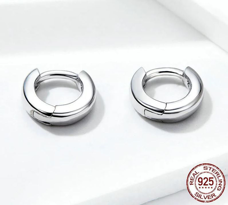 Hoop Earrings Lever Back Shiny Circle