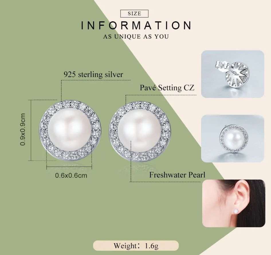Scallop Earrings Round Stud Sterling Silver