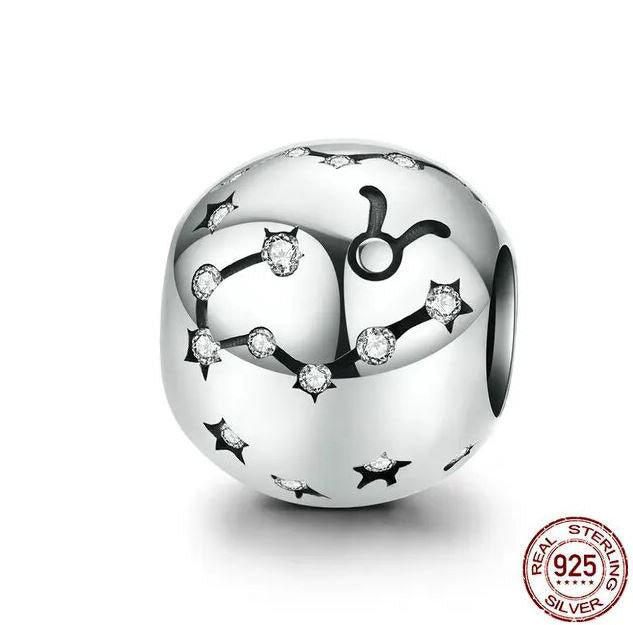 Charm Zodiac Sign Twelve Constellations Star